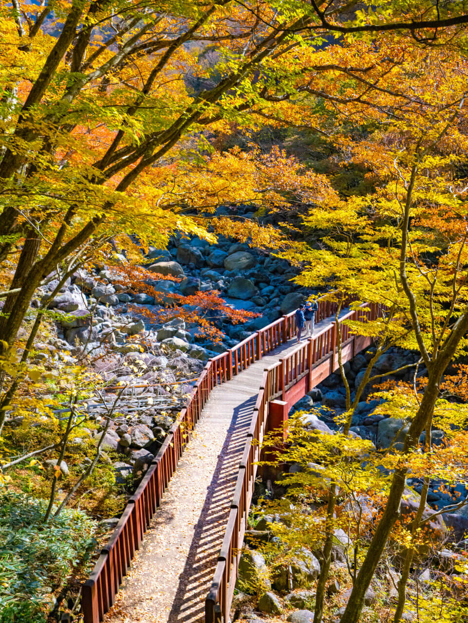 한라산 어리목